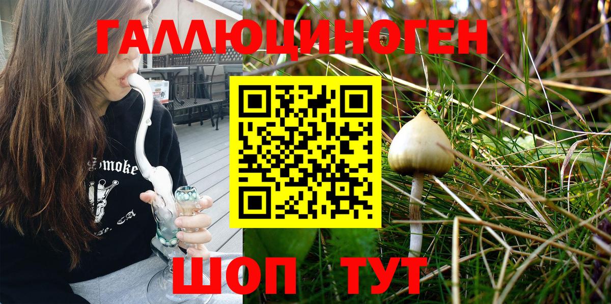 Псилоцибиновые грибы Magic Shrooms Майкоп